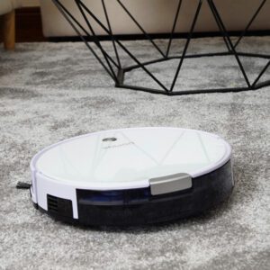 Can robot vacuums go over rugs